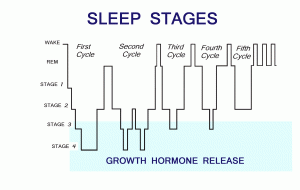 nightanalysismain_sleep-stages-graph-blanc